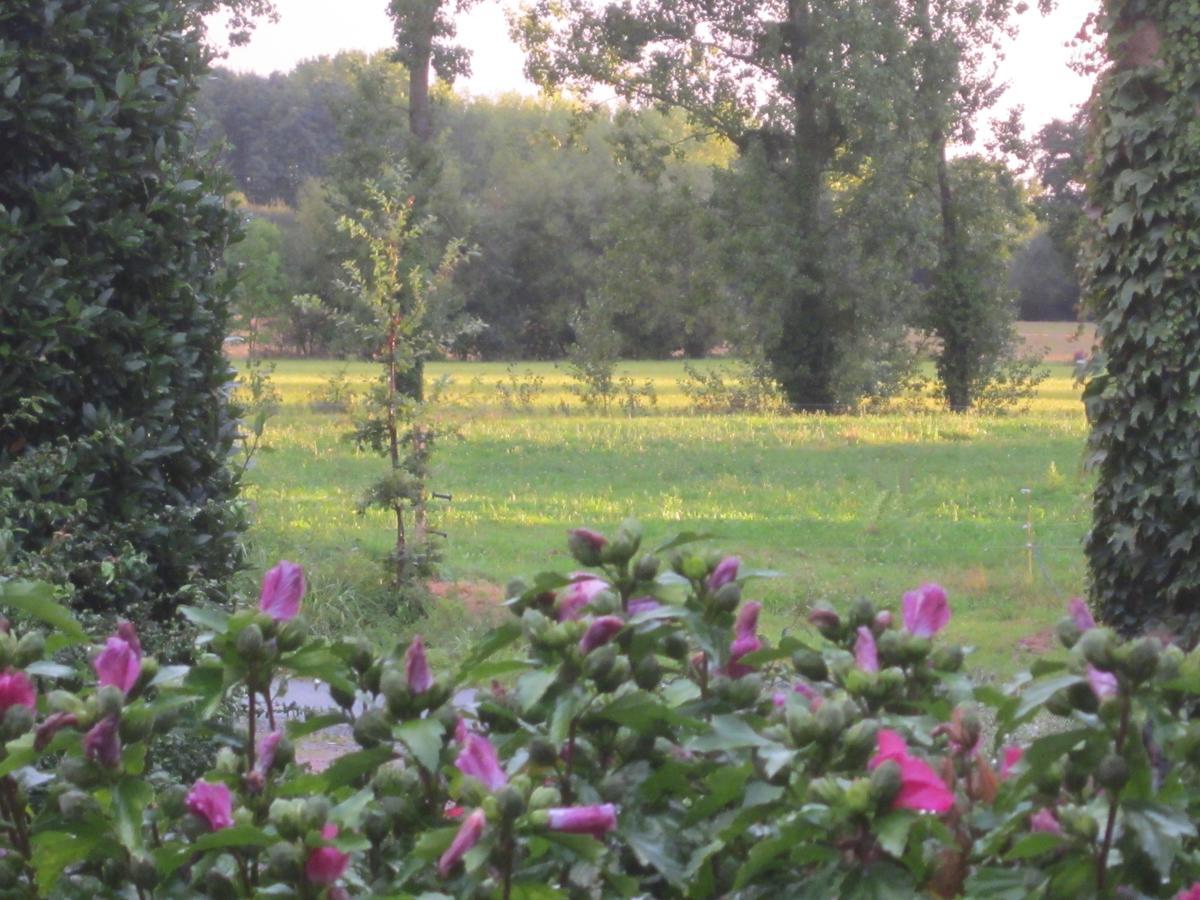 Domaine De La Fontaine Bed & Breakfast Chavagne Exterior photo